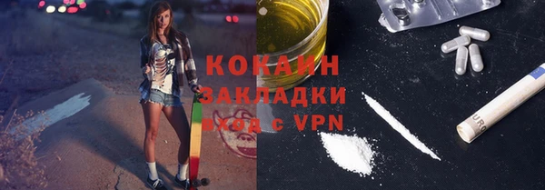 ГАЛЛЮЦИНОГЕННЫЕ ГРИБЫ Вяземский