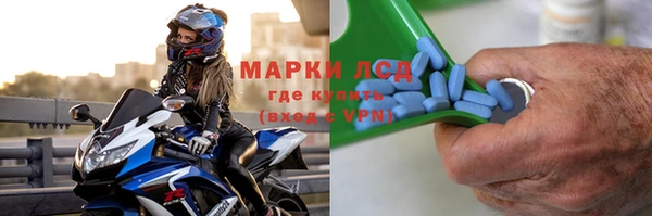 ГАЛЛЮЦИНОГЕННЫЕ ГРИБЫ Вяземский