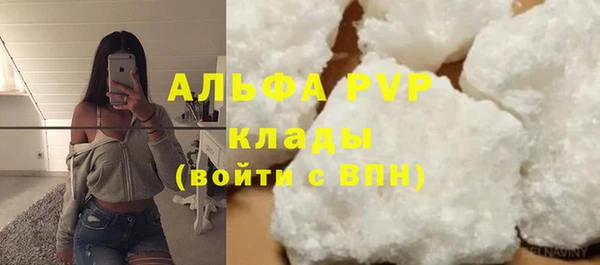 ГАЛЛЮЦИНОГЕННЫЕ ГРИБЫ Вяземский