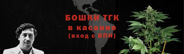 ГАЛЛЮЦИНОГЕННЫЕ ГРИБЫ Вяземский