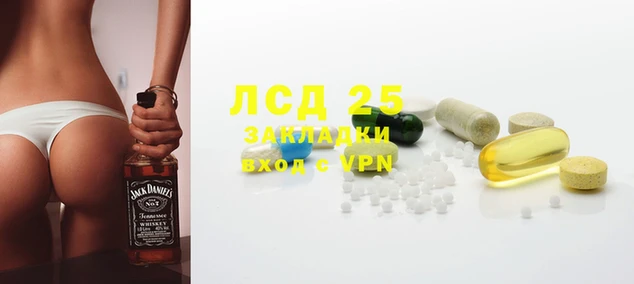 ГАЛЛЮЦИНОГЕННЫЕ ГРИБЫ Вяземский