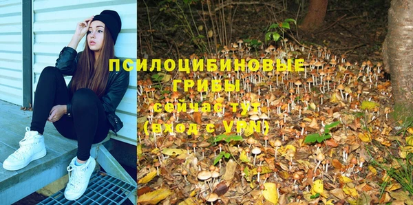 ГАЛЛЮЦИНОГЕННЫЕ ГРИБЫ Вяземский