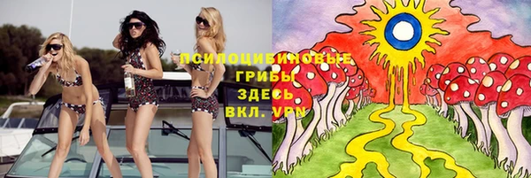 прущая мука Вязники
