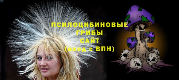 прущая мука Вязники