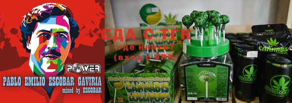 ГАЛЛЮЦИНОГЕННЫЕ ГРИБЫ Вяземский