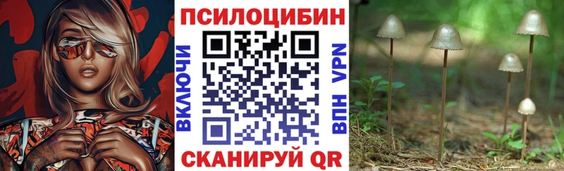 Купить  Билибино  Псилоцибиновые грибы Psilocybine cubensis 